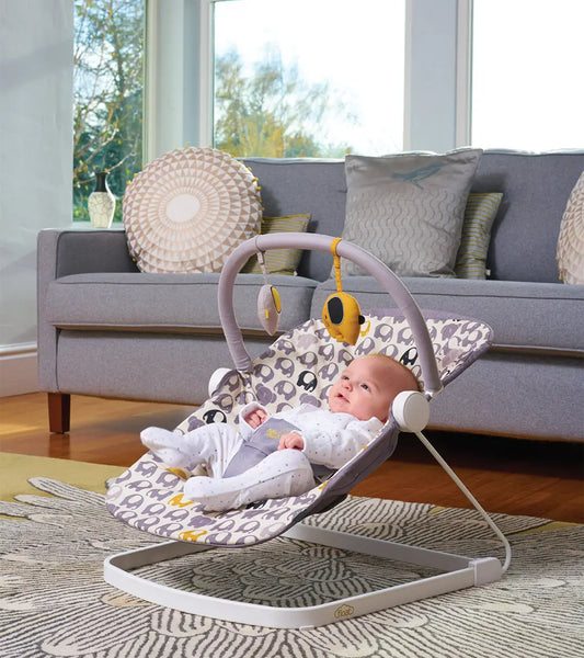 Float Baby Bouncer