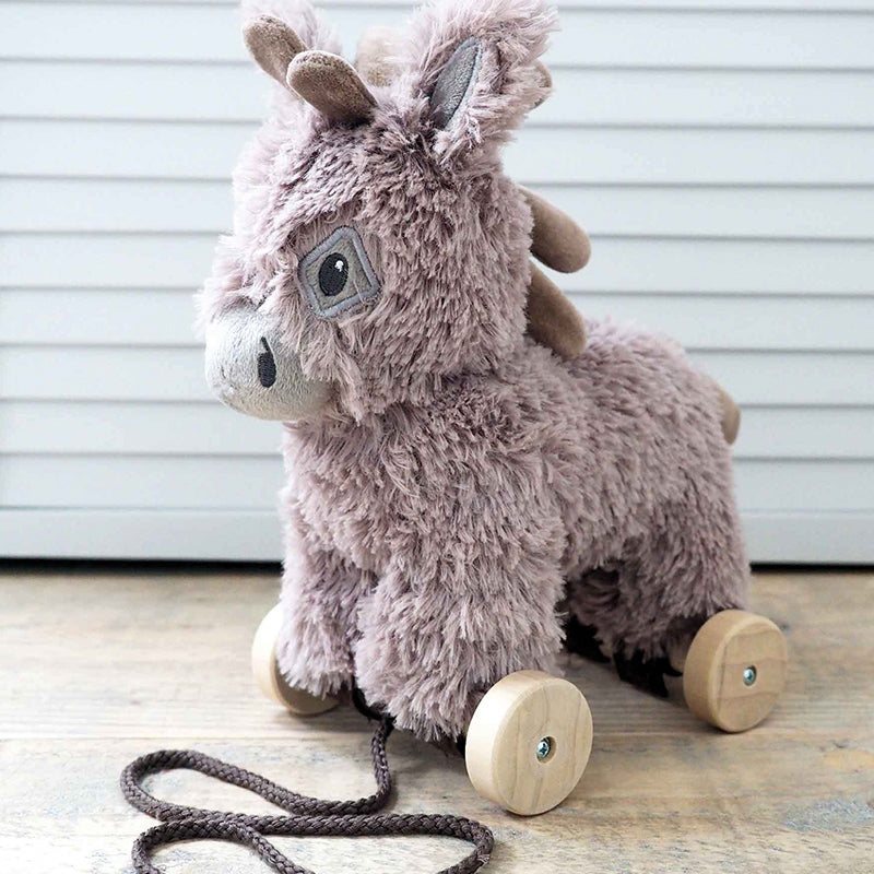 Pull Along Norbert