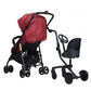 Roma Uptown Rider - Toddler Seat