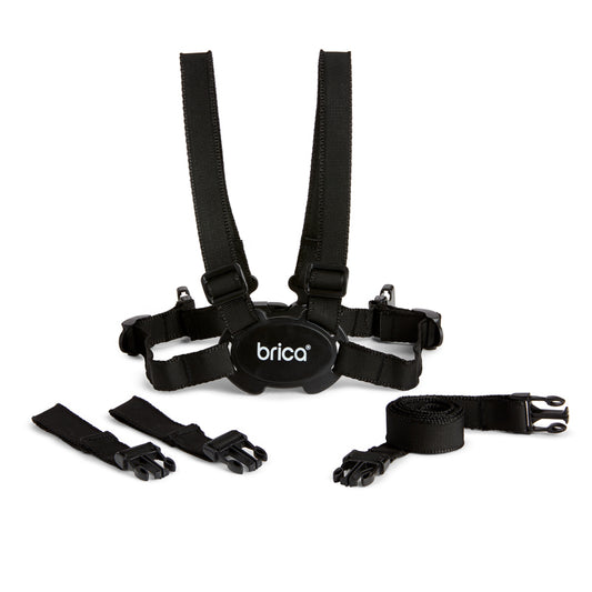 Brica Harness and Reins